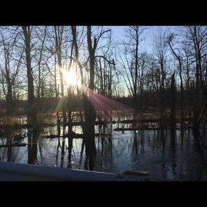 Meet your Posher, Sophia